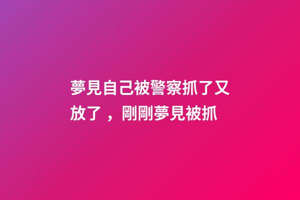 夢見自己被警察抓了又放了，剛剛夢見被抓